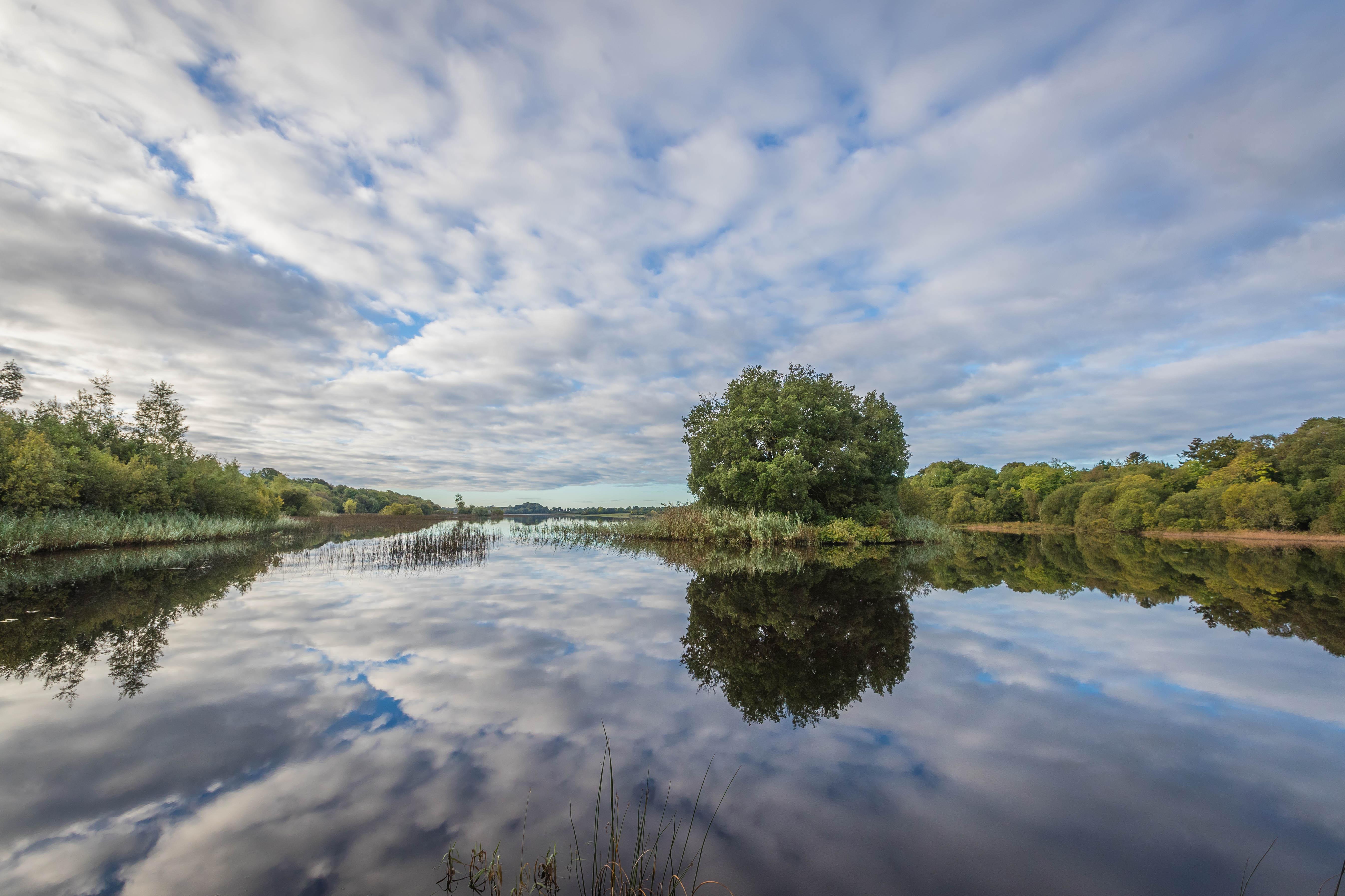 فندق Lough Rynn Castle Mohill المظهر الخارجي الصورة